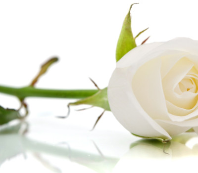 funeral wake